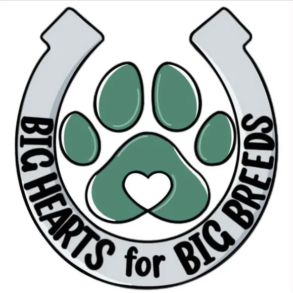 Posh Live 51-100 - Picture 1 of 1